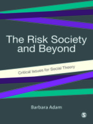 cover image of The Risk Society and Beyond